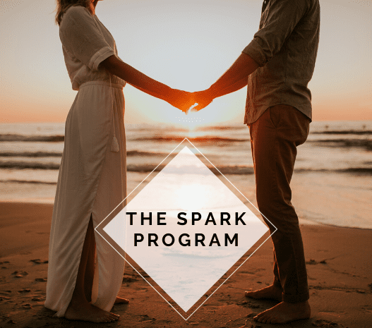 The Spark program website icon