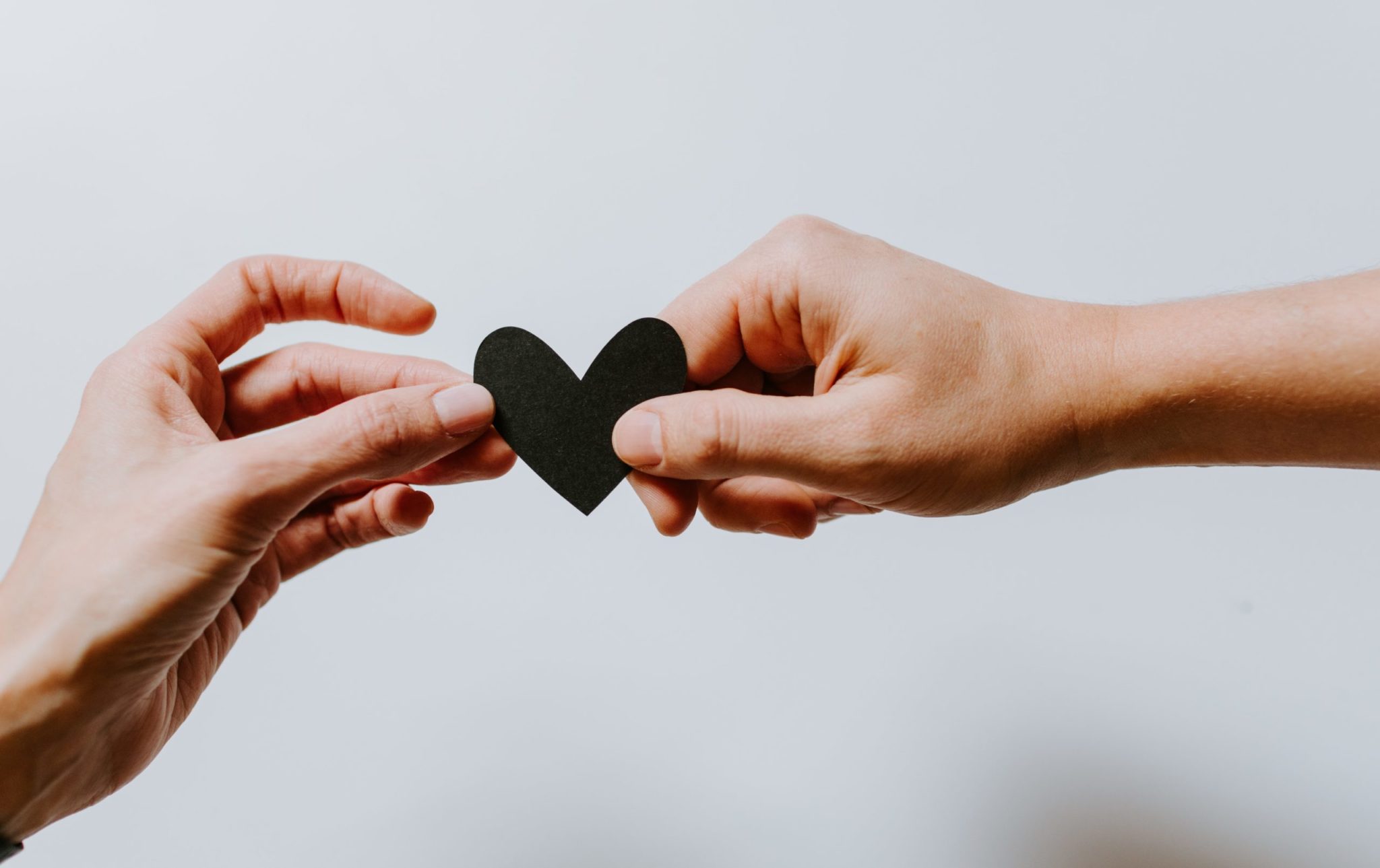 kelly-sikkema-4le7k9XVYjE-unsplash online course group support