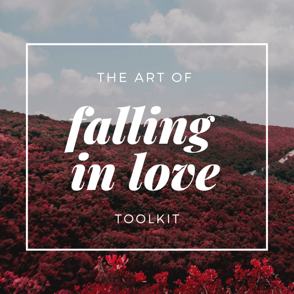 Art of Falling In Love Toolkit Icon